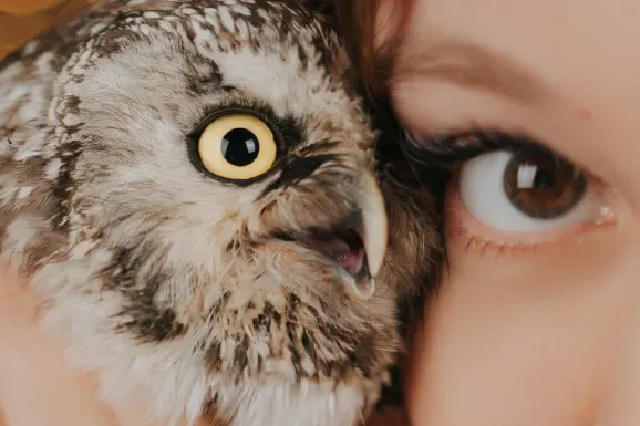 Kasino Lucky 31 Podpora